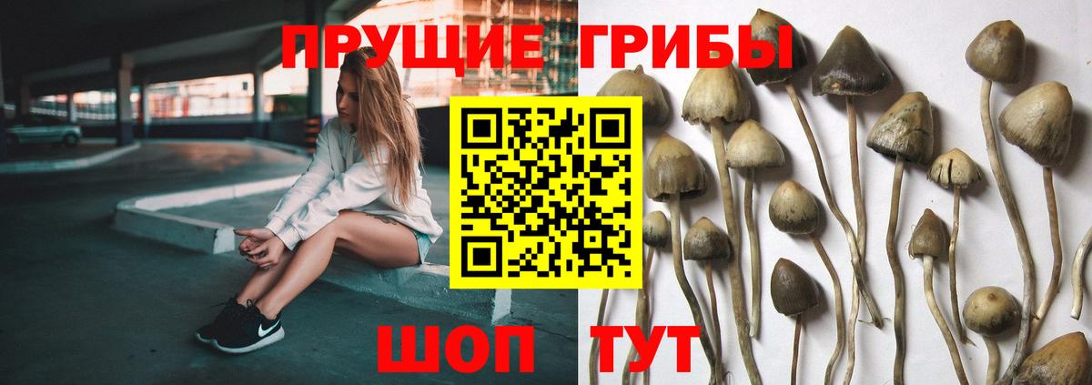 Псилоцибиновые грибы Magic Shrooms Бахчисарай
